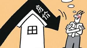 27岁买房VS终身租房 金星与非典型生活选择背后的社会镜像